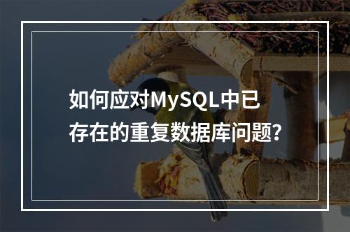 如何应对MySQL中已存在的重复数据库问题?