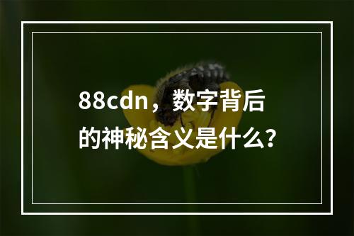 88cdn,数字背后的神秘含义是什么?