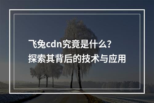 飞兔cdn究竟是什么?探索其背后的技术与应用