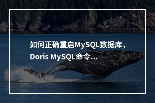 如何正确重启MySQL数据库,Doris MySQL命令简介指南?