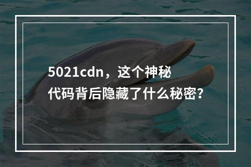 5021cdn,这个神秘代码背后隐藏了什么秘密?