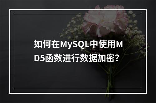 如何在MySQL中使用MD5函数进行数据加密?