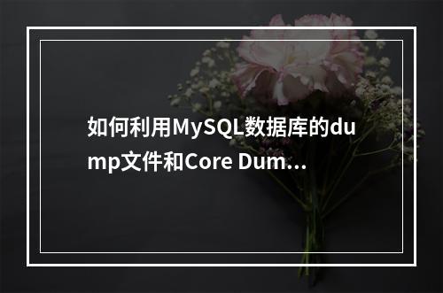 如何利用MySQL数据库的dump文件和Core Dump文件定位容器问题?