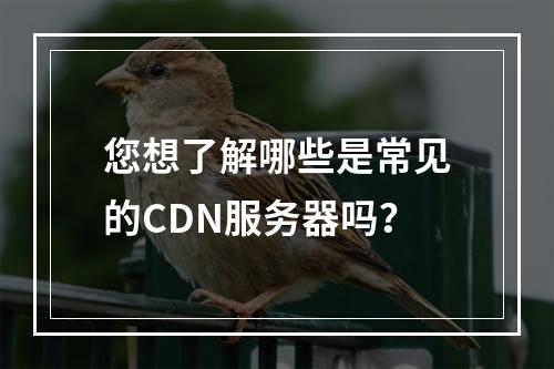 您想了解哪些是常见的CDN服务器吗?