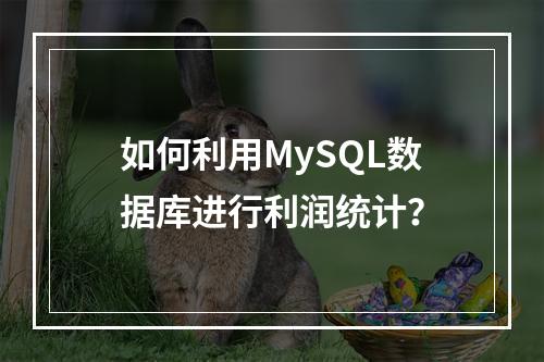 如何利用MySQL数据库进行利润统计?