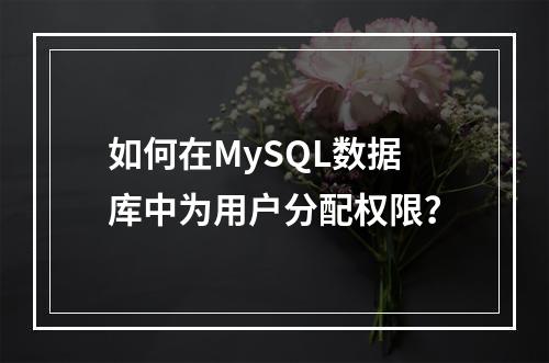 如何在MySQL数据库中为用户分配权限?