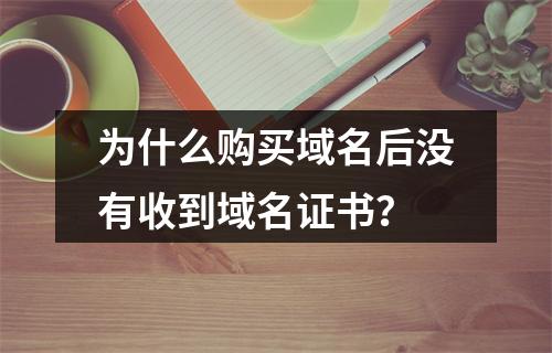 为什么购买域名后没有收到域名证书?