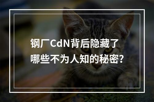 钢厂CdN背后隐藏了哪些不为人知的秘密?