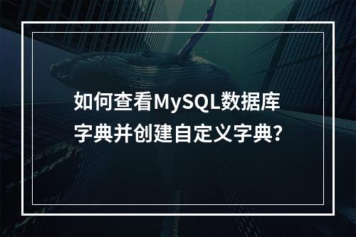 如何查看MySQL数据库字典并创建自定义字典?