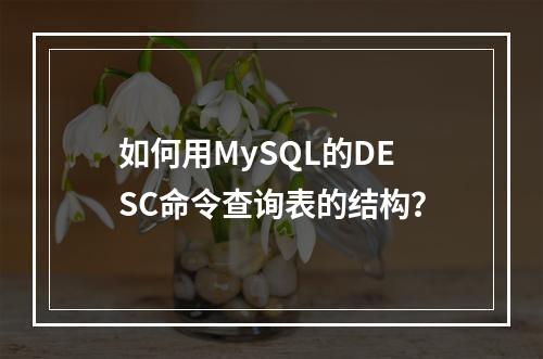 如何用MySQL的DESC命令查询表的结构?