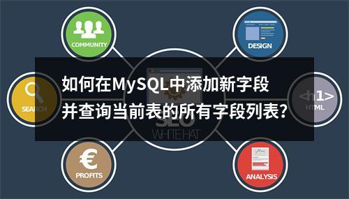 如何在MySQL中添加新字段并查询当前表的所有字段列表?