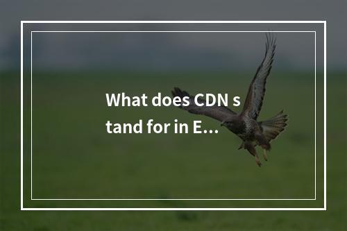 What does CDN stand for in English?