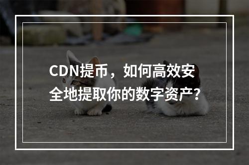 CDN提币,如何高效安全地提取你的数字资产?