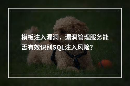 模板注入漏洞,漏洞管理服务能否有效识别SQL注入风险?