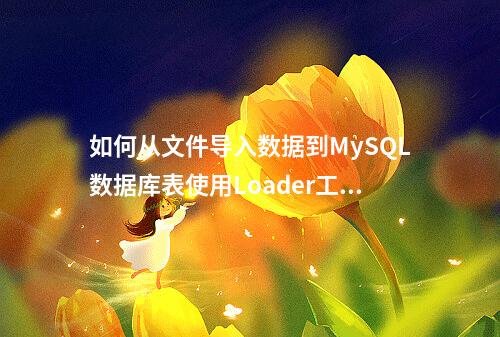 如何从文件导入数据到MySQL数据库表使用Loader工具?