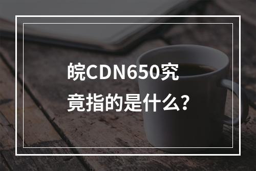 皖CDN650究竟指的是什么?