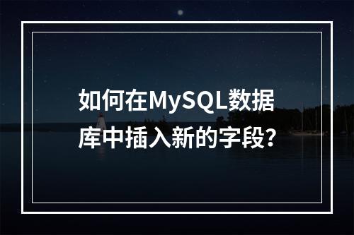 如何在MySQL数据库中插入新的字段?