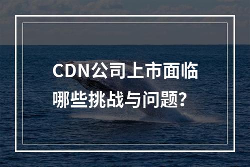 CDN公司上市面临哪些挑战与问题?