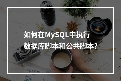 如何在MySQL中执行数据库脚本和公共脚本?