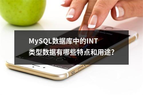 MySQL数据库中的INT类型数据有哪些特点和用途?