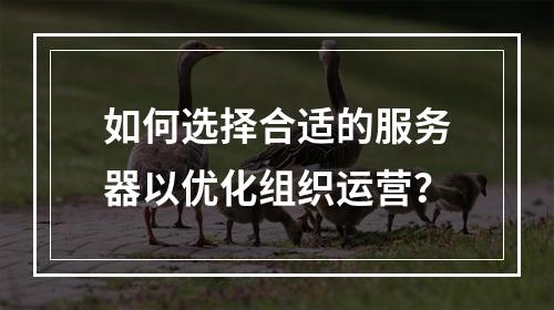 如何选择合适的服务器以优化组织运营?