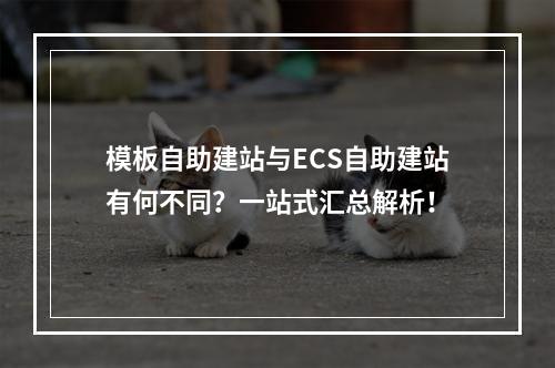 模板自助建站与ECS自助建站有何不同?一站式汇总解析!