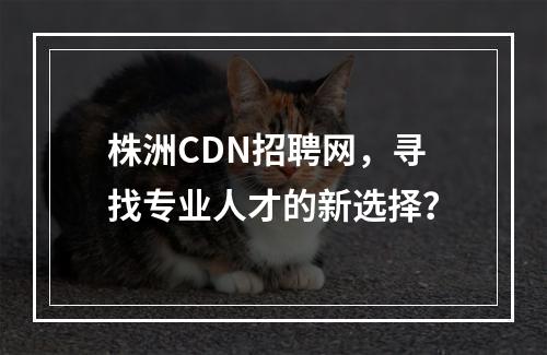 株洲CDN招聘网,寻找专业人才的新选择?