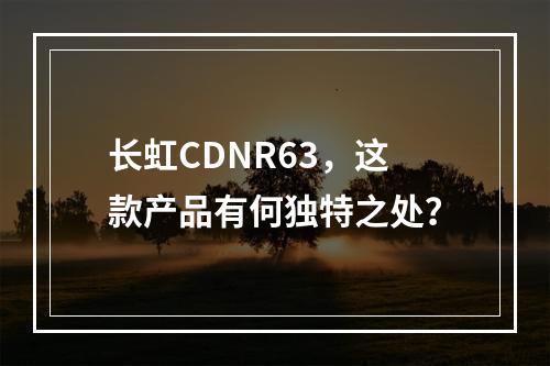 长虹CDNR63,这款产品有何独特之处?