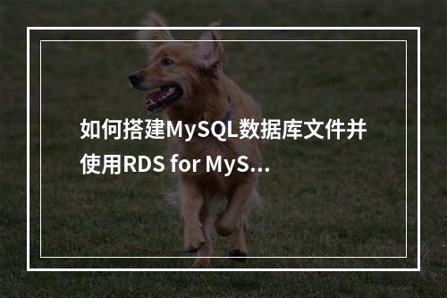 如何搭建MySQL数据库文件并使用RDS for MySQL来搭建WordPress?