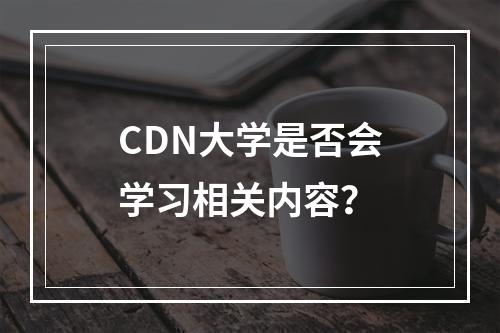 CDN大学是否会学习相关内容?