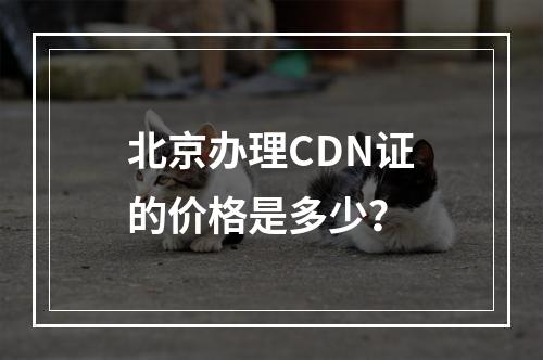 北京办理CDN证的价格是多少?