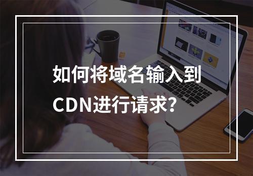 如何将域名输入到CDN进行请求?