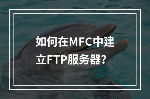 如何在MFC中建立FTP服务器?