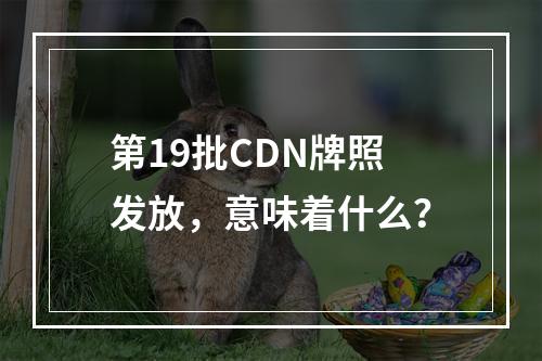 第19批CDN牌照发放,意味着什么?
