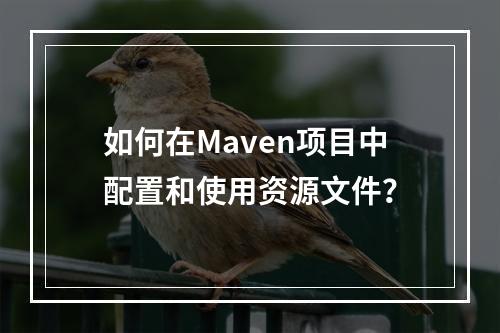 如何在Maven项目中配置和使用资源文件?