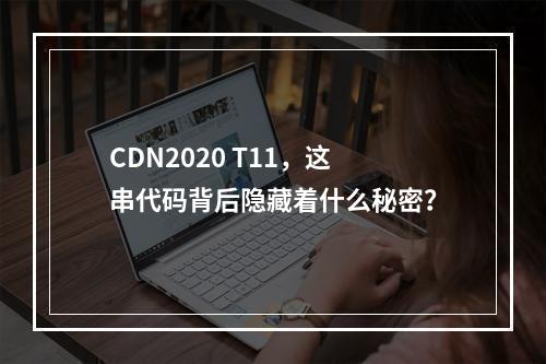 CDN2020 T11,这串代码背后隐藏着什么秘密?
