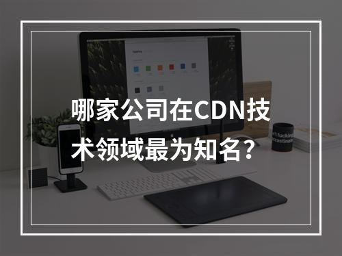 哪家公司在CDN技术领域最为知名?