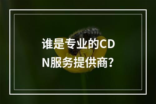 谁是专业的CDN服务提供商?