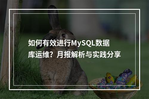 如何有效进行MySQL数据库运维?月报解析与实践分享