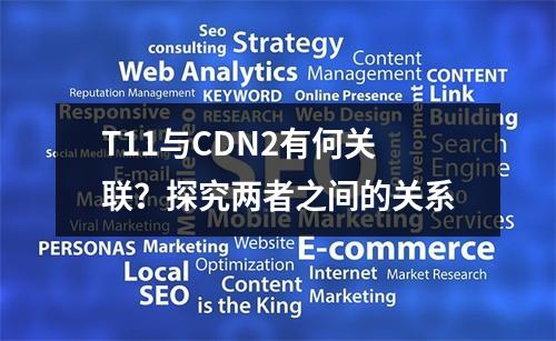T11与CDN2有何关联?探究两者之间的关系
