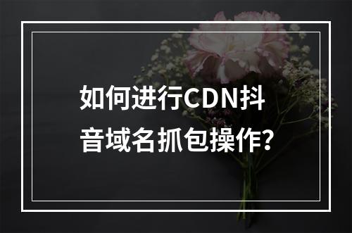 如何进行CDN抖音域名抓包操作?