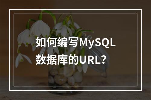 如何编写MySQL数据库的URL?