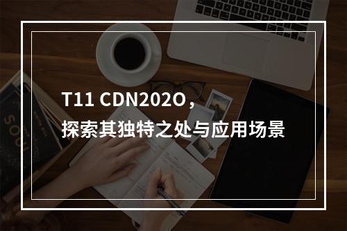 T11 CDN202O,探索其独特之处与应用场景