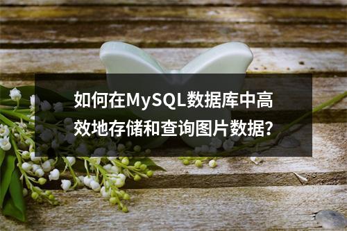 如何在MySQL数据库中高效地存储和查询图片数据?