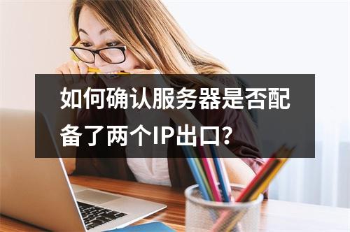 如何确认服务器是否配备了两个IP出口?