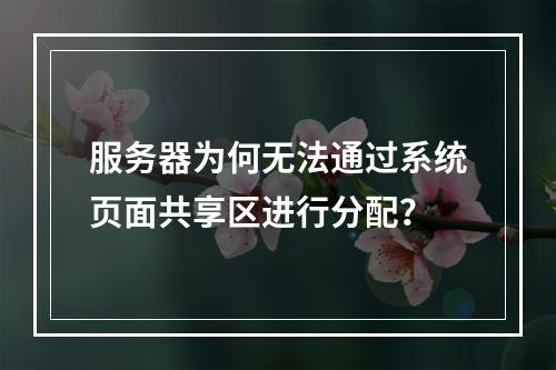 服务器为何无法通过系统页面共享区进行分配?