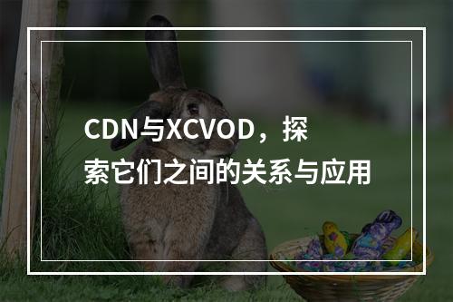 CDN与XCVOD,探索它们之间的关系与应用