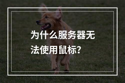 为什么服务器无法使用鼠标?