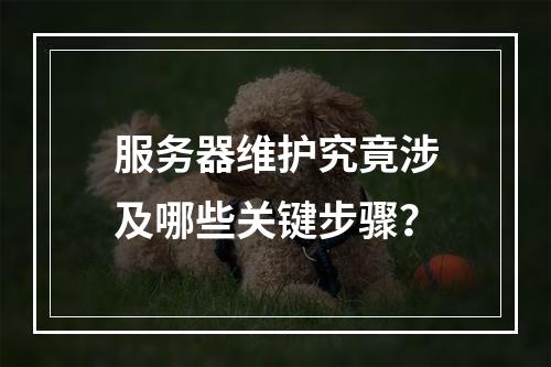 服务器维护究竟涉及哪些关键步骤?