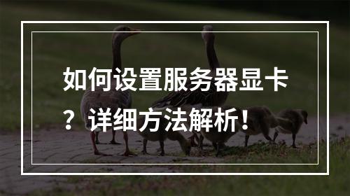 如何设置服务器显卡?详细方法解析!